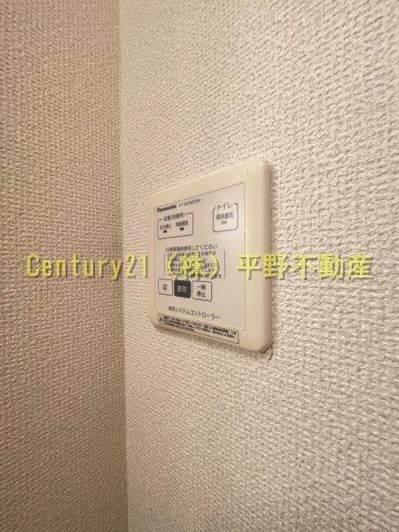 ホワイトクローバー