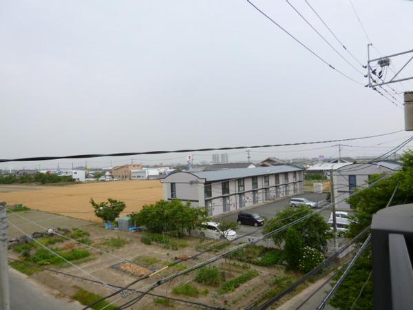 サンフィールド2