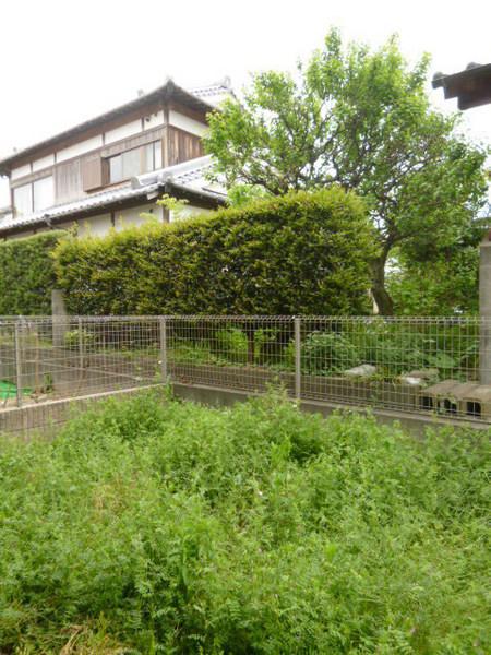 シャーメゾン小森野　B棟