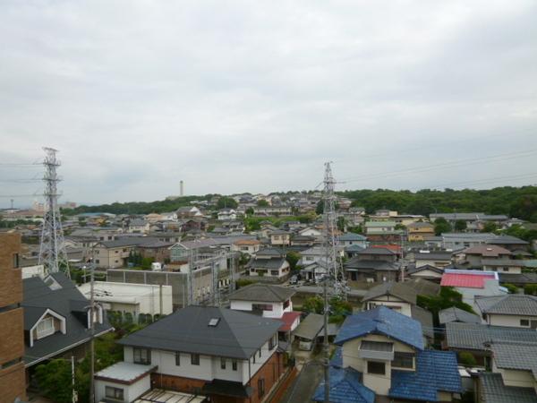 インポート久留米ルビー5