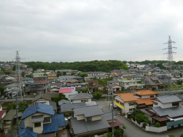 インポート久留米ルビー5