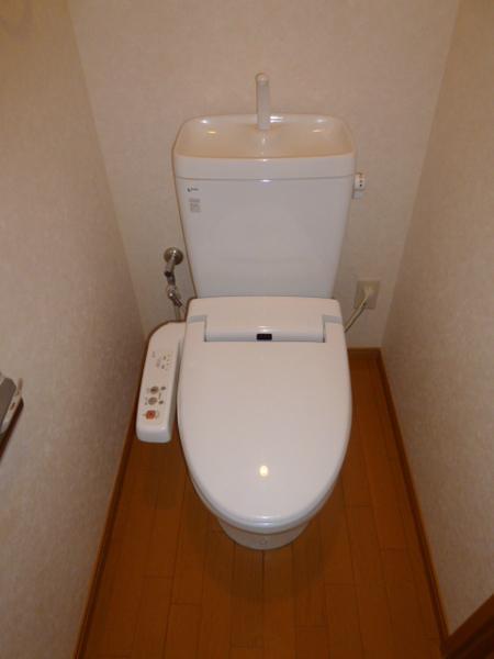 インポート久留米ルビー5
