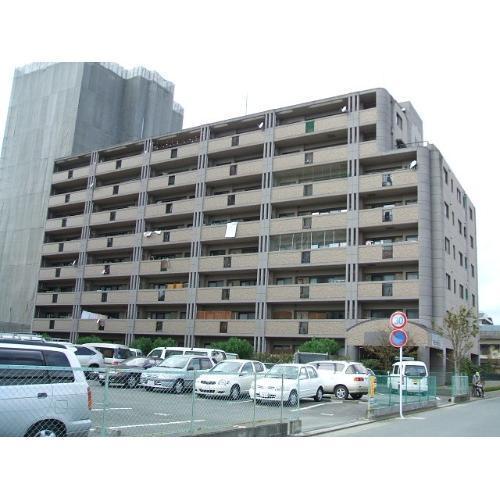 エヴァ諏訪野