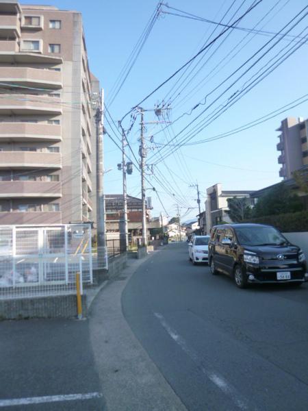 楓