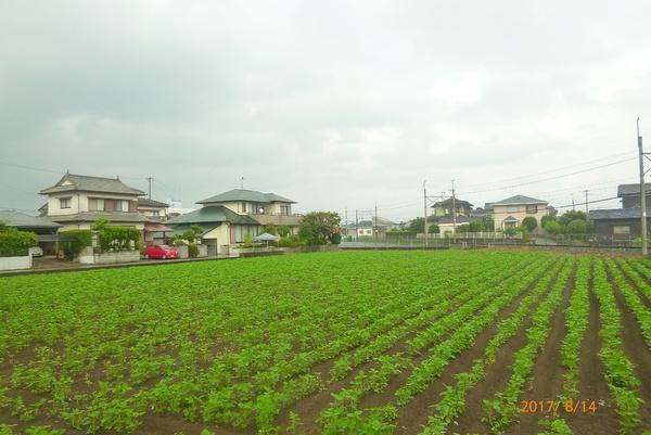 ラ・ポールメゾン北野　Ｃ棟