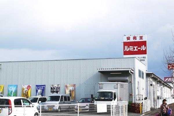リビングタウン江戸屋敷　C棟(ルミエール上津バイパス店)