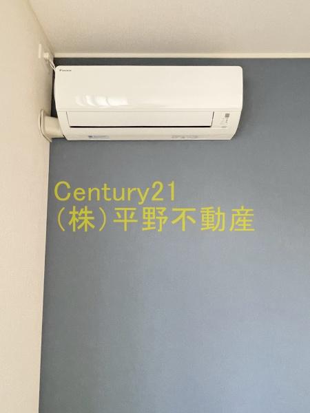 エクセラン
