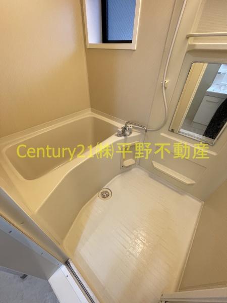 ハイカムール荒木