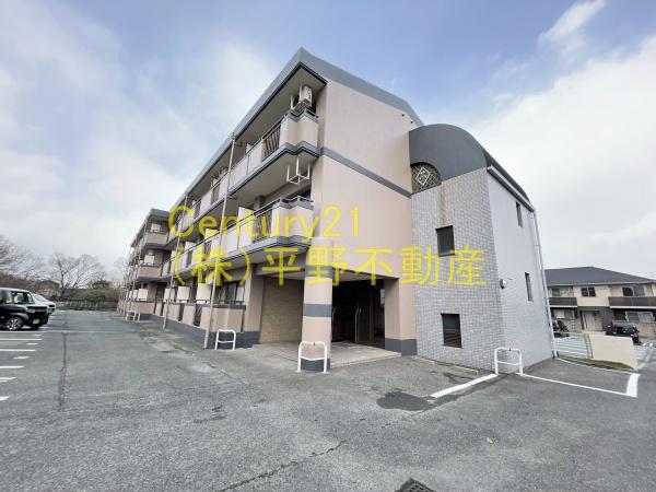 ロックフィル安武