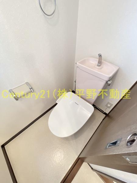 ロックフィル安武(トイレ)