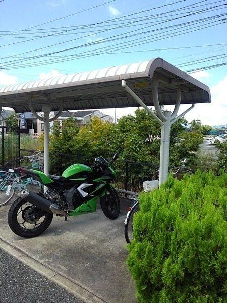 サンシャイン