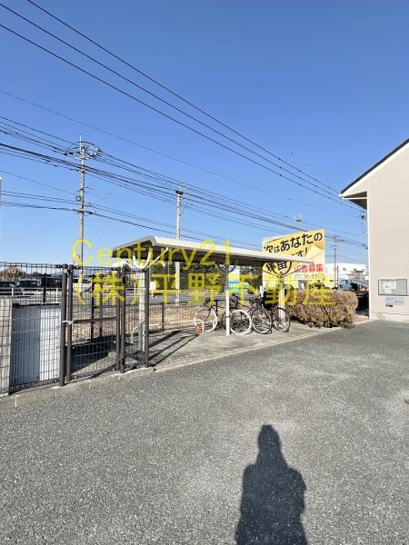 サンシャイン