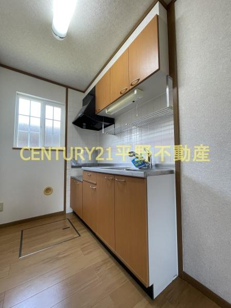 エクセラン原
