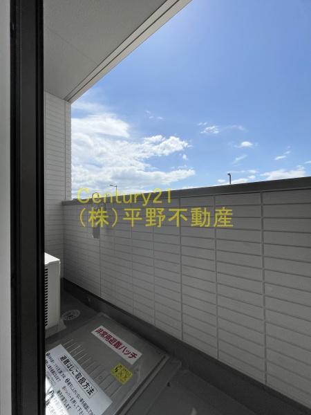 Soavita南薫西