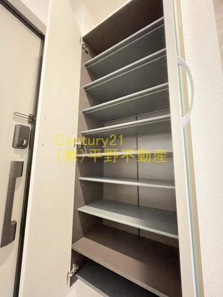 D-room椿