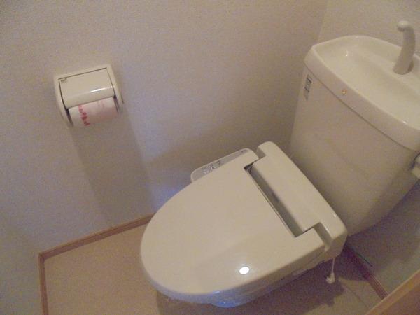 プラシード