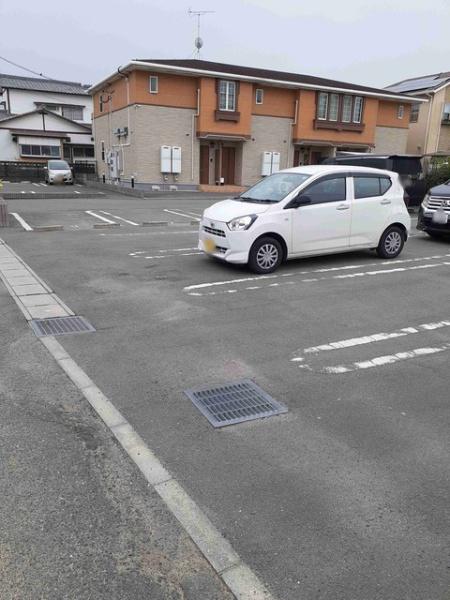 エメラルドヘッド