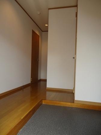 インポート久留米ルビー3