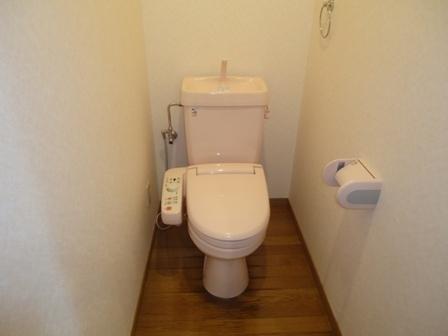 インポート久留米ルビー3
