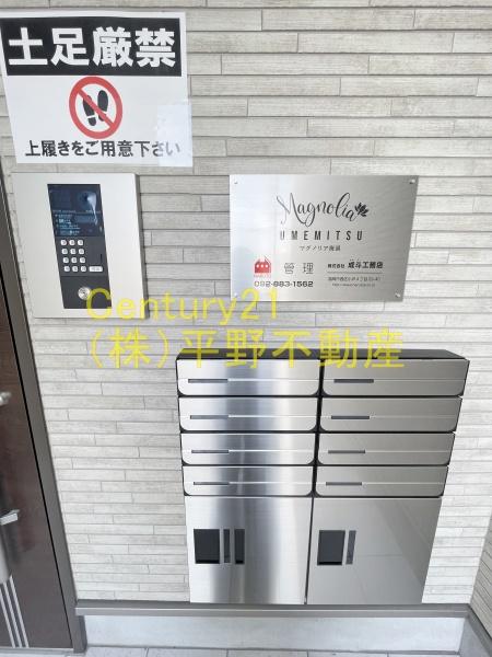 マグノリア梅満