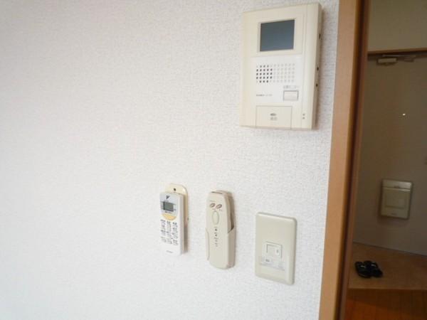 アムール森の樹