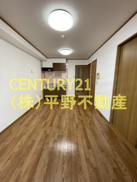 インポート久留米ルビー3