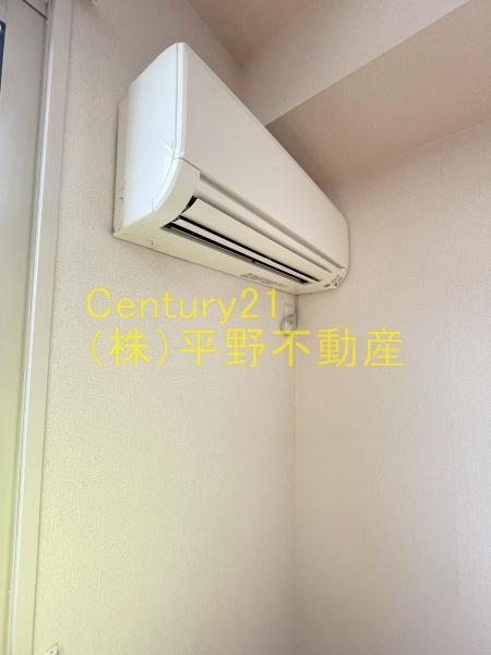 セジュール光