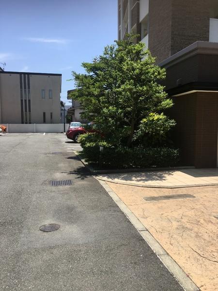 グランシャリオ