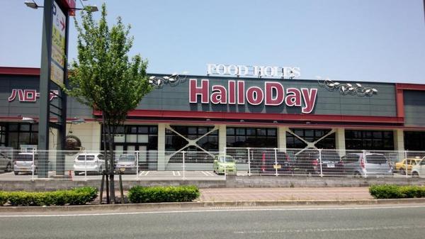 パナハイツ諏訪(ハローデイ国分店)
