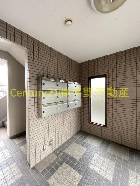 エクセルコート