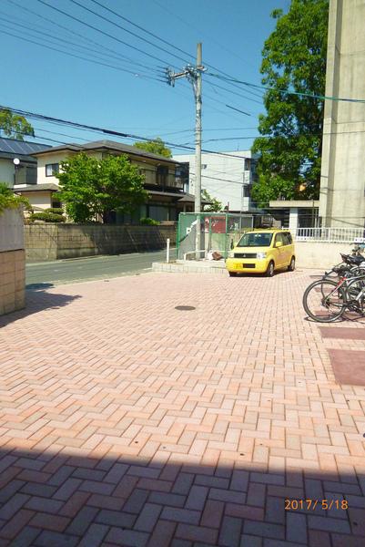 ルピナス
