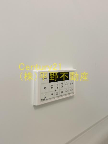 オリーブ