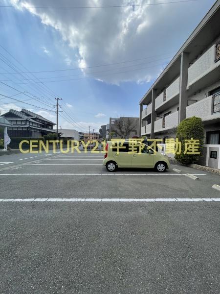 Ｄearcortkawanami