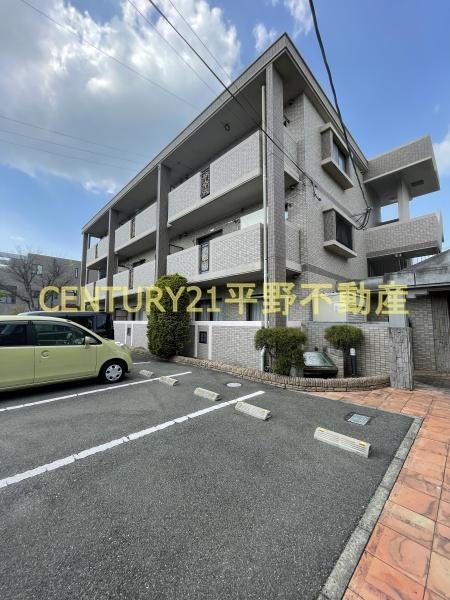 Ｄearcortkawanami