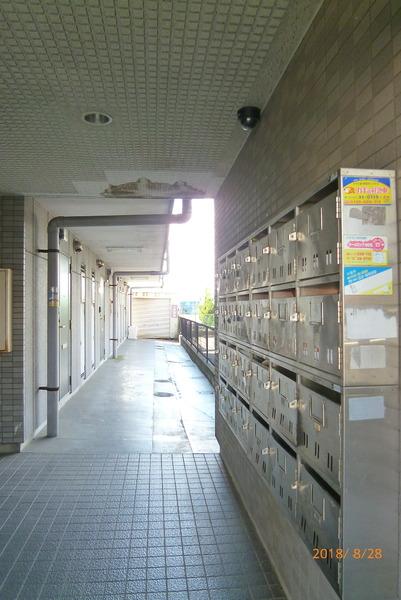 サンライフ大樹
