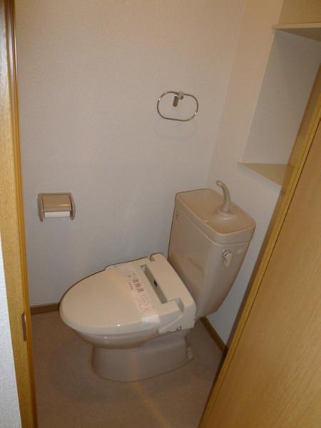 ビューカトレア