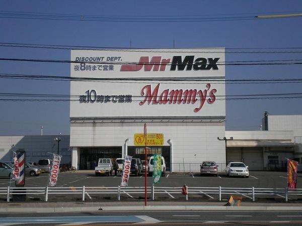 スカイトラスⅠ(MrMax久留米インター店)