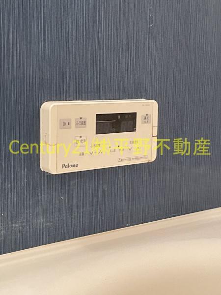 グリーンカトレア