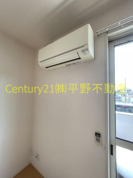 グリーンカトレア