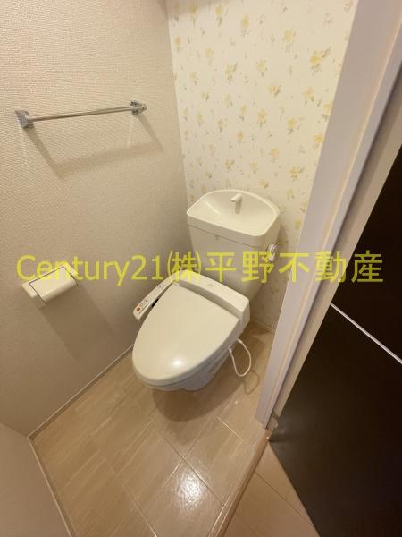 グリーンカトレア