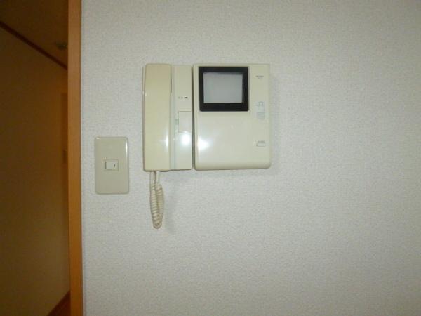 グリーン花水木