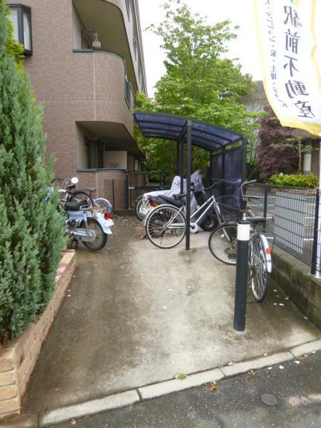 グリーン花水木