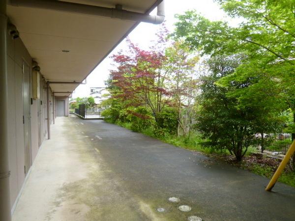 グリーン花水木