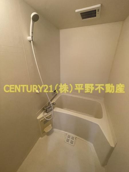 セレンディピティ