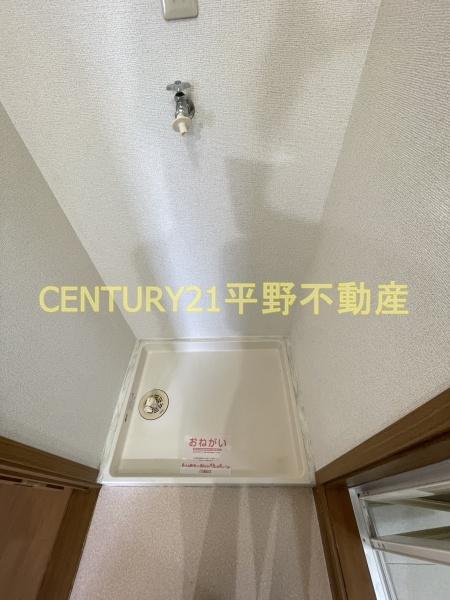 エクセラン原