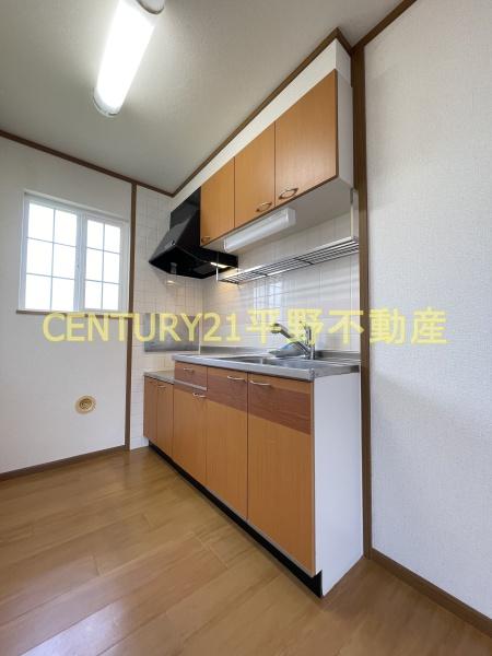 エクセラン原