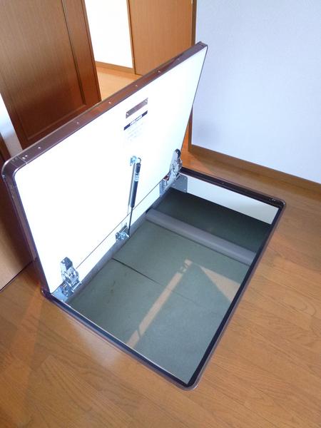 ルネス国分