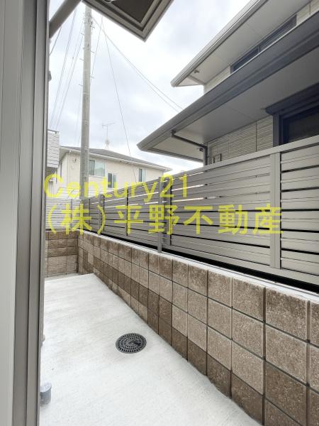 シルフィ　グランス