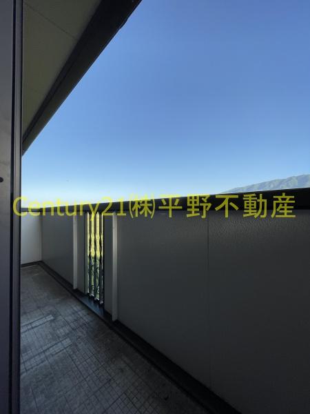 トータスモア