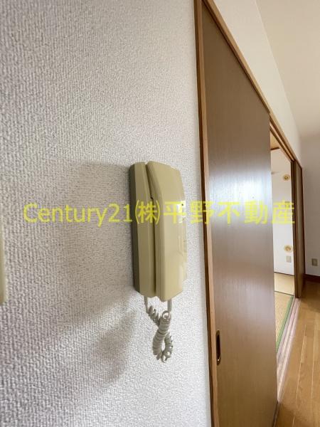 グリーンマンション